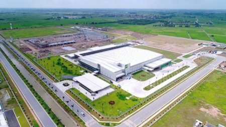 Dairy giants make huge investment as Vietnam ramps up milk production
