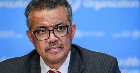 US politicinas calls WHO director to step down over 'Chinese COVID-19 cover-up'