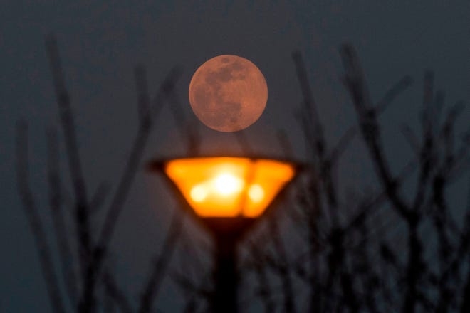 2020s april pink moon calming respite from covid 19 pandemic