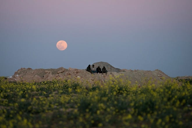 2020s april pink moon calming respite from covid 19 pandemic