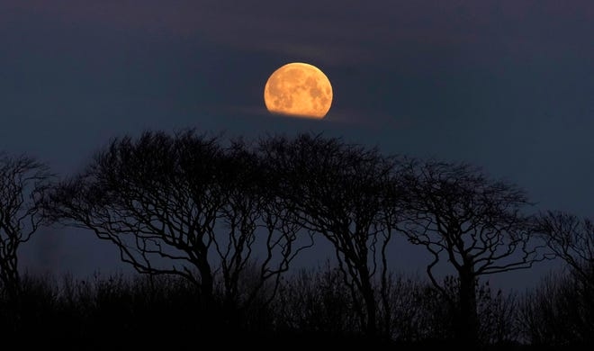 2020s april pink moon calming respite from covid 19 pandemic