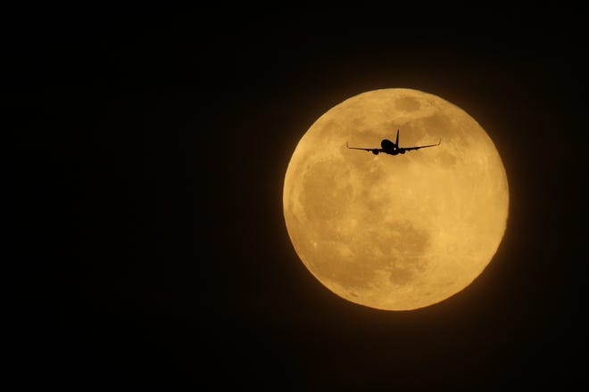 2020s april pink moon calming respite from covid 19 pandemic