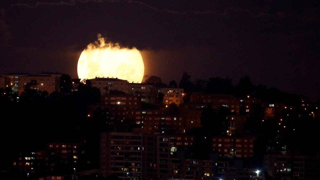 2020s april pink moon calming respite from covid 19 pandemic