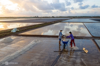 ba khia freshwater crabs in southern coastal provinces