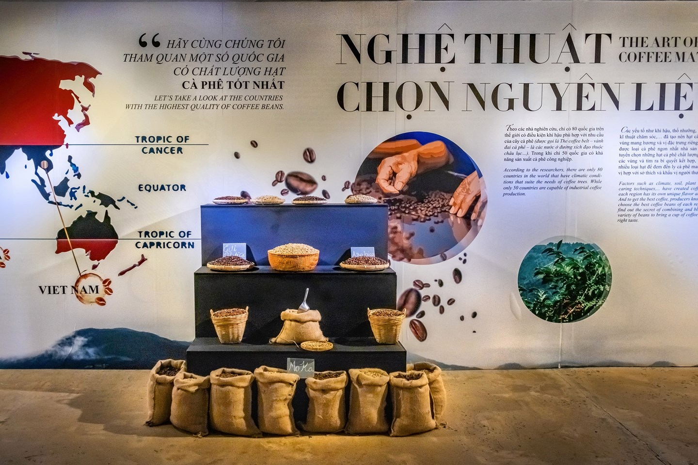 wanderlust lists out 12 must do things in vietnam