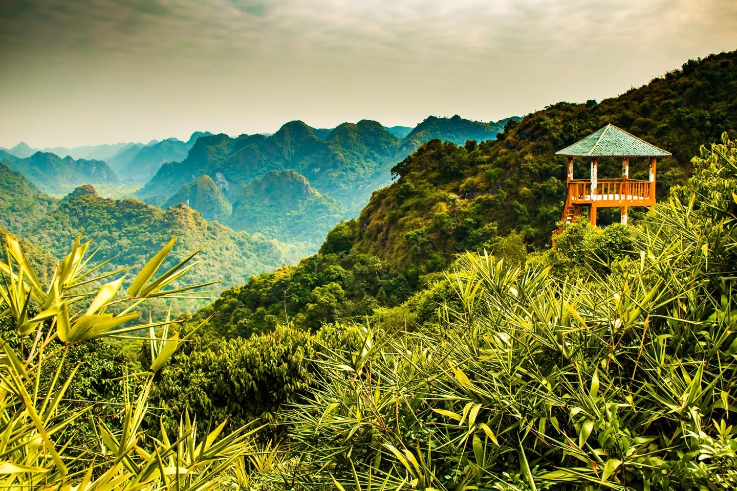 wanderlust lists out 12 must do things in vietnam