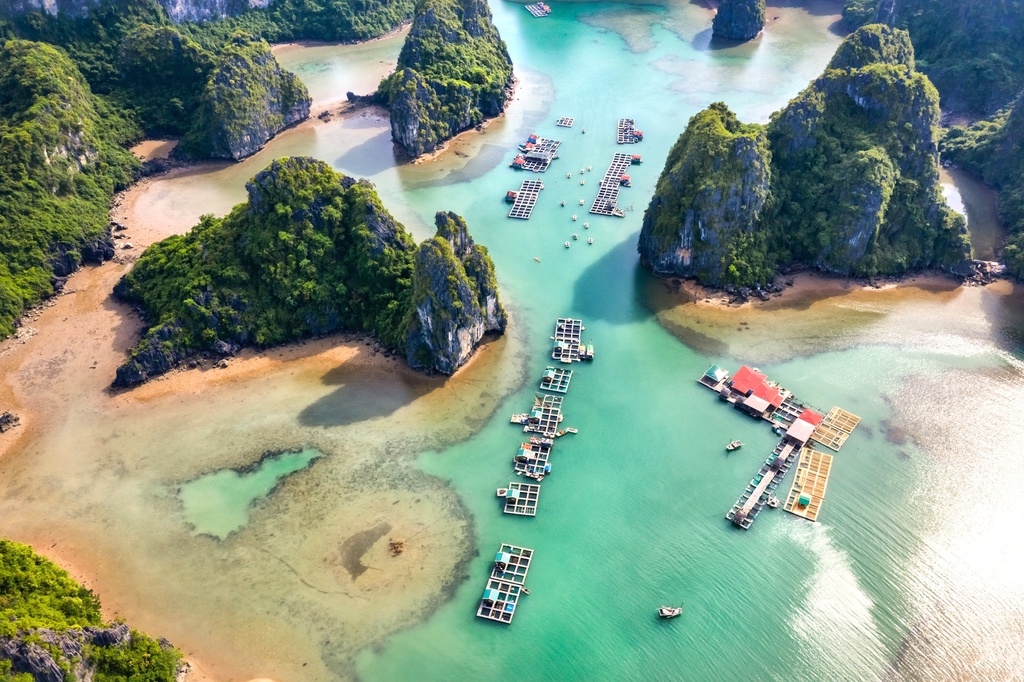 mesmerizing bays in vietnam to draw tourists