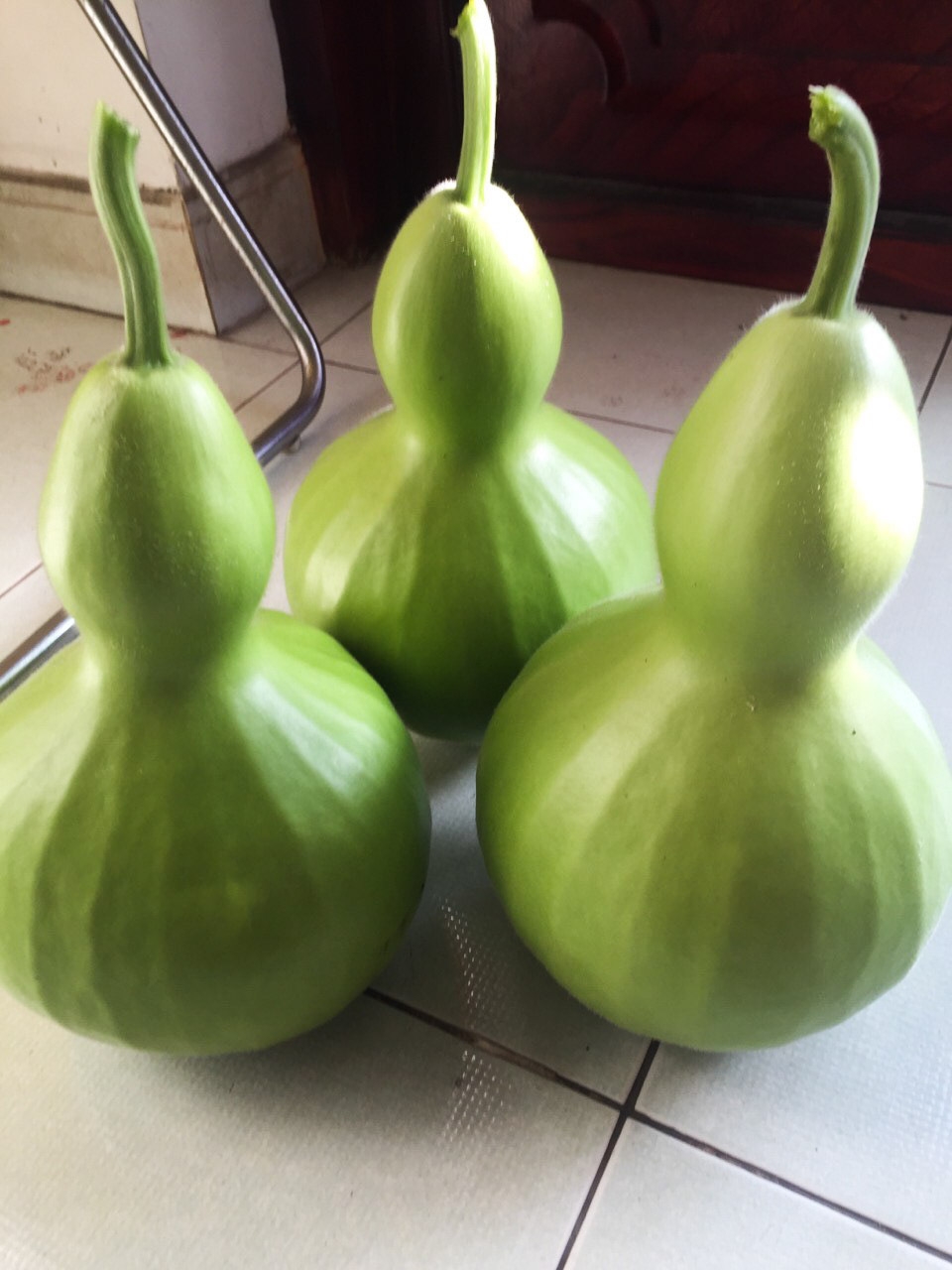 Rooftop garden 'laden' with giant fruits and veggies