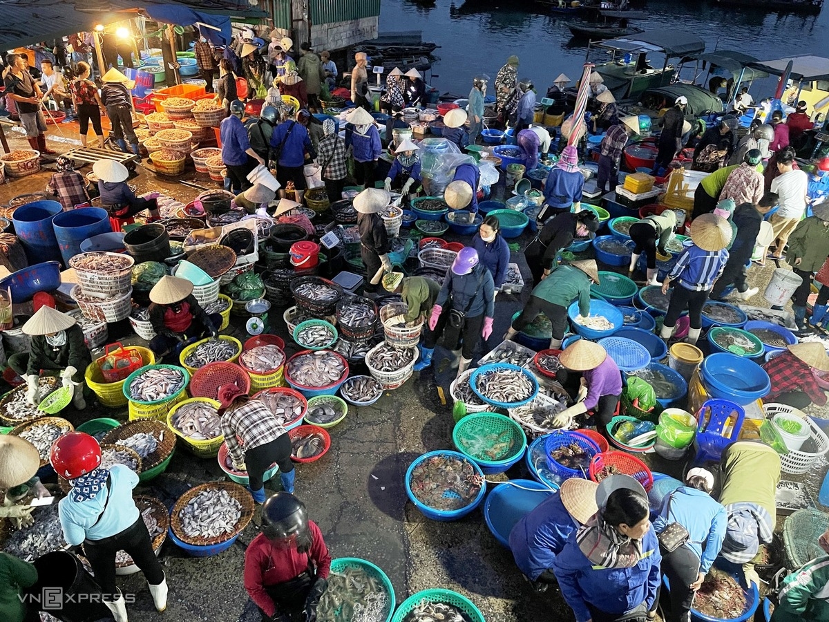 Vibrant nightlife at fish market in Bai Tu Long Bay