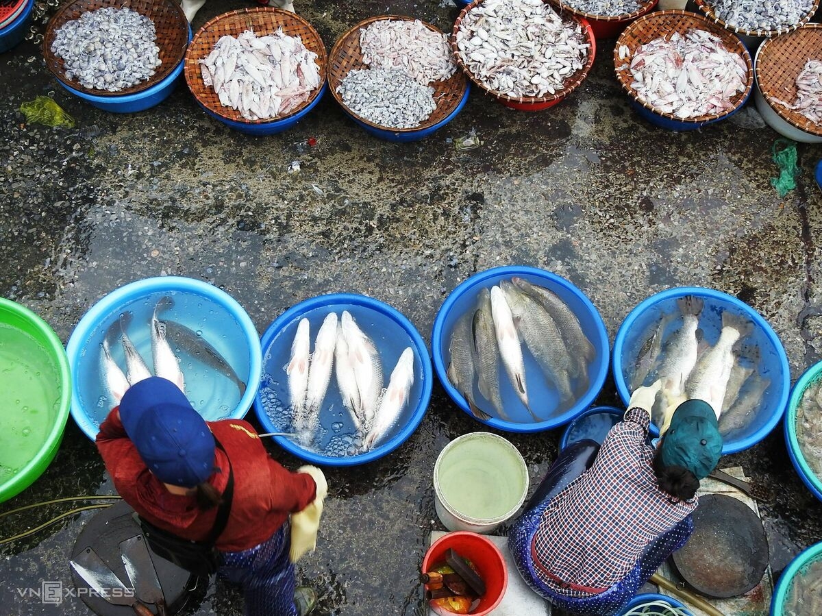 Vibrant nightlife at fish market in Bai Tu Long Bay
