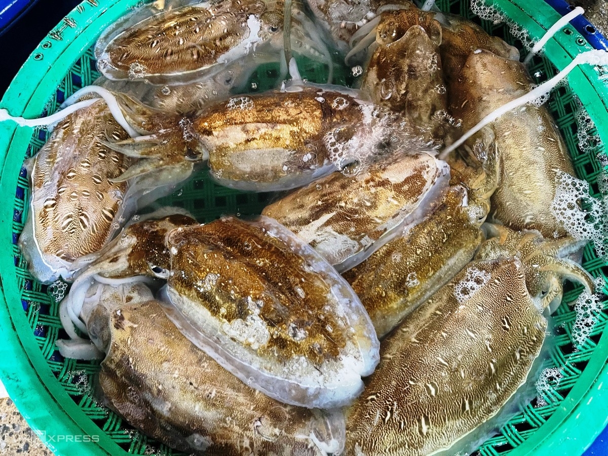 Vibrant nightlife at fish market in Bai Tu Long Bay