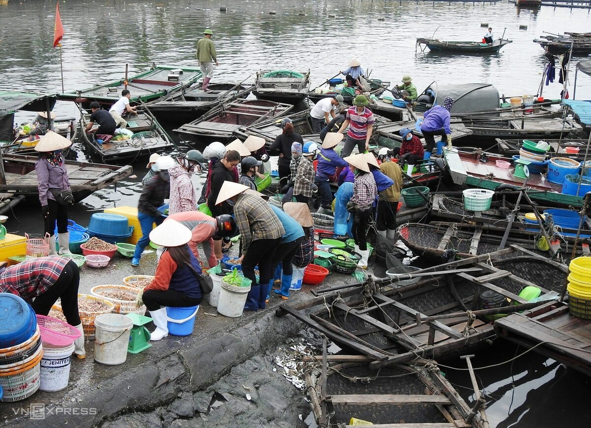 Vibrant nightlife at fish market in Bai Tu Long Bay