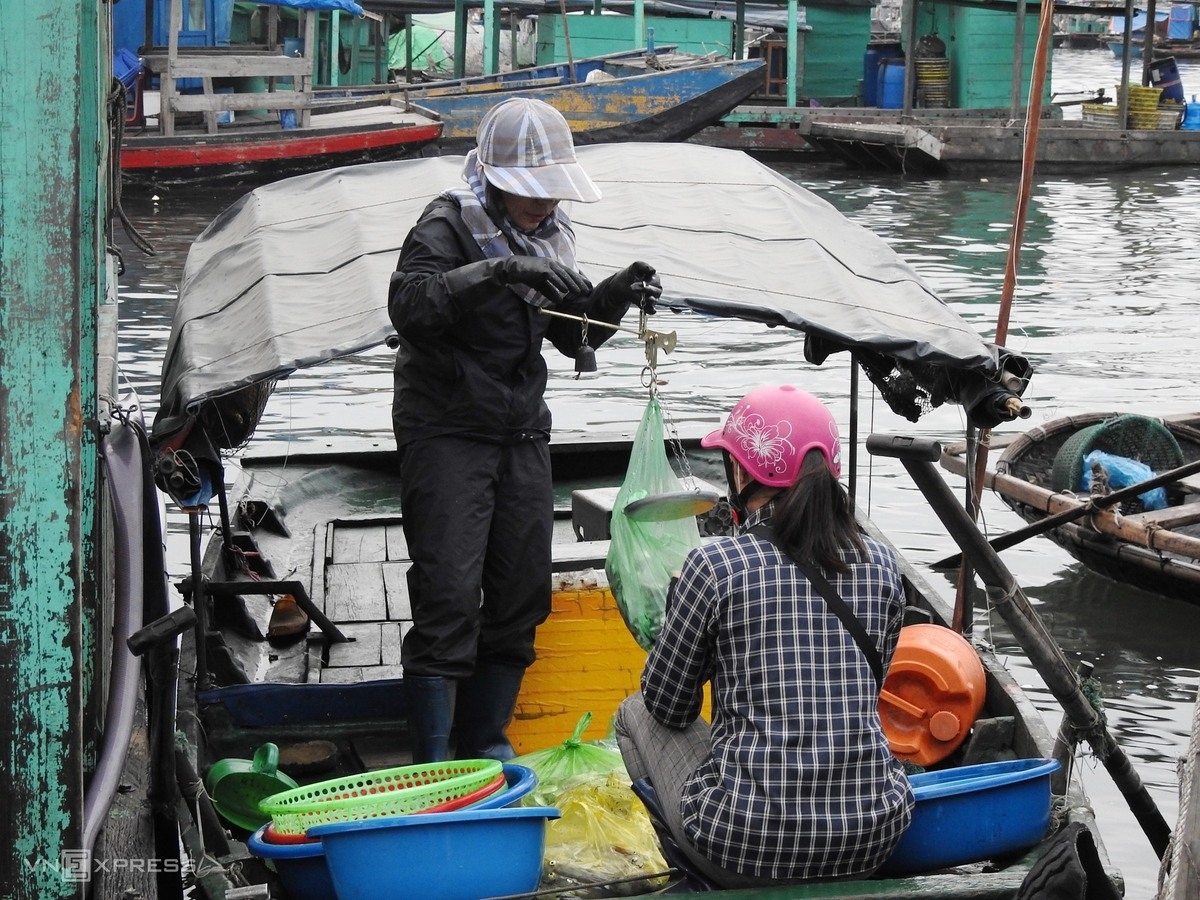 Vibrant nightlife at fish market in Bai Tu Long Bay
