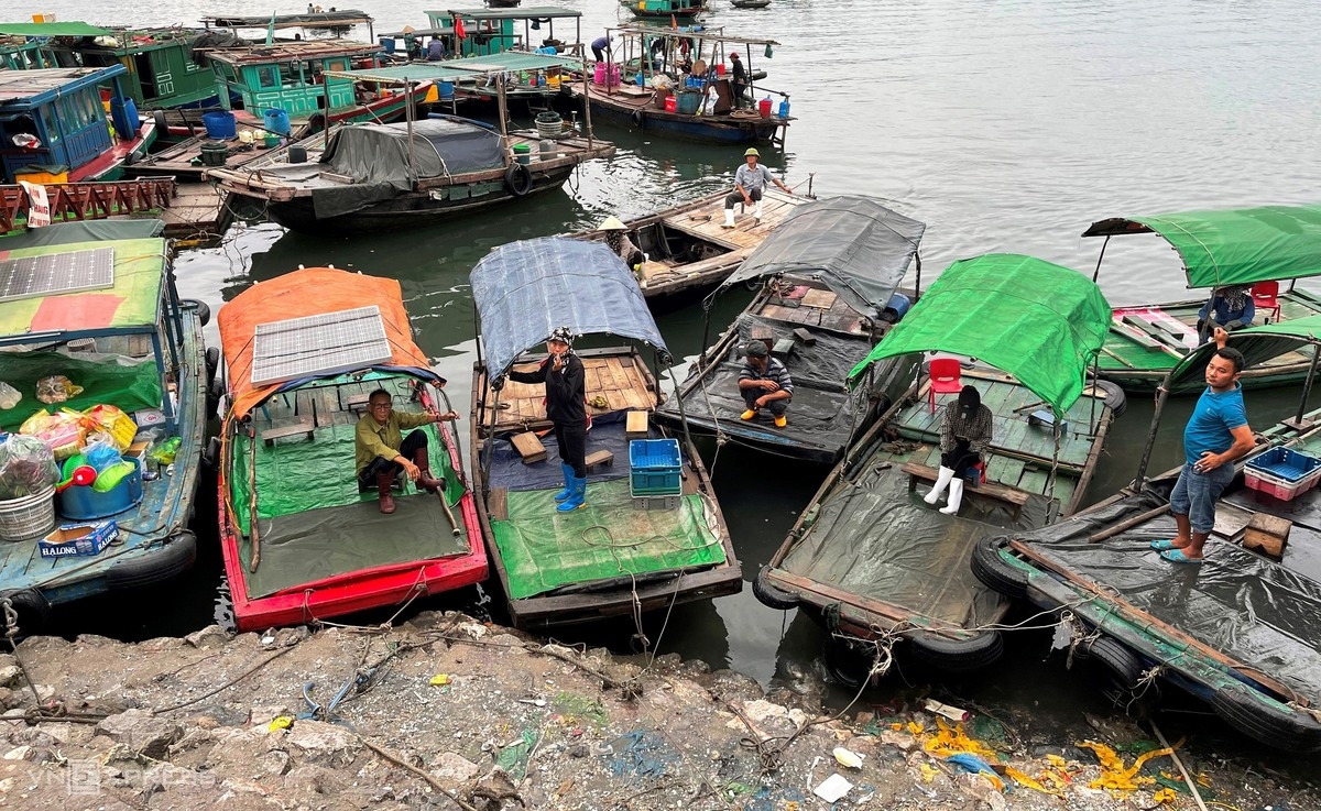 Vibrant nightlife at fish market in Bai Tu Long Bay