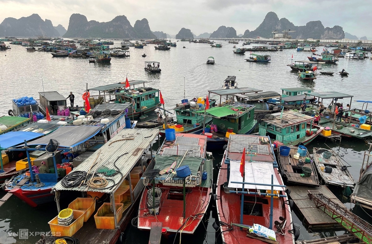 Vibrant nightlife at fish market in Bai Tu Long Bay
