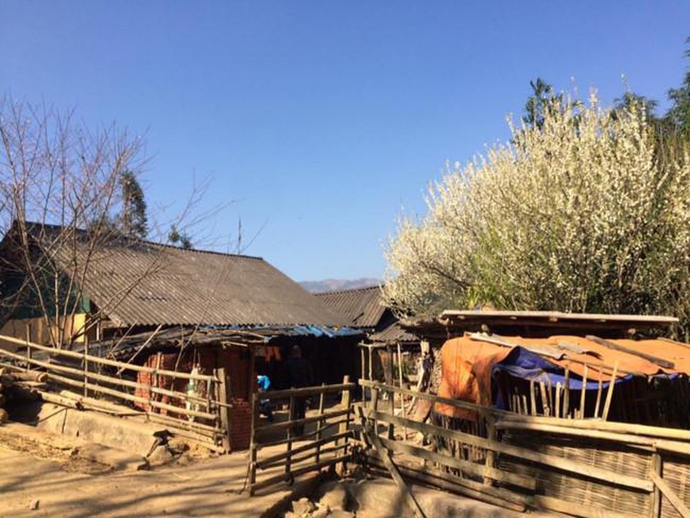 A Pa Chai moutain, top venturesome travelers' worth conquering list a pa chai moutain top venturesome travelers worth conquering list