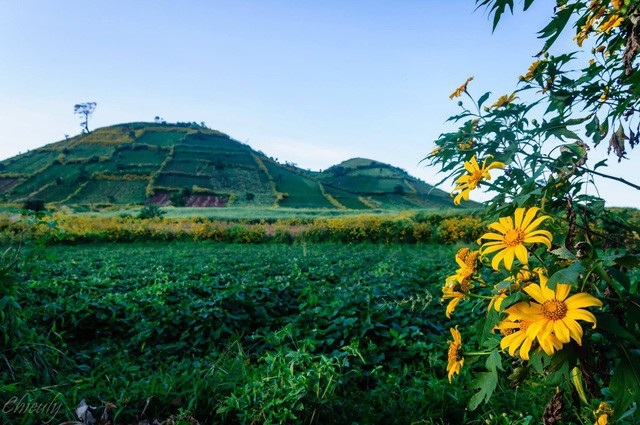 wild beauty of chu dang ya volcano