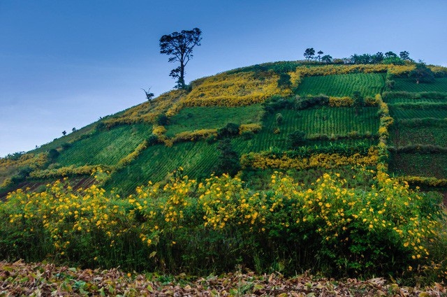 wild beauty of chu dang ya volcano