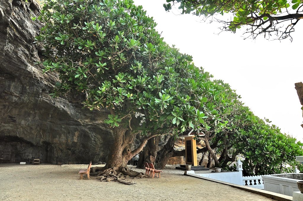 Ly Son island, must-discover untouched beauty ly son island must discover untouched beauty