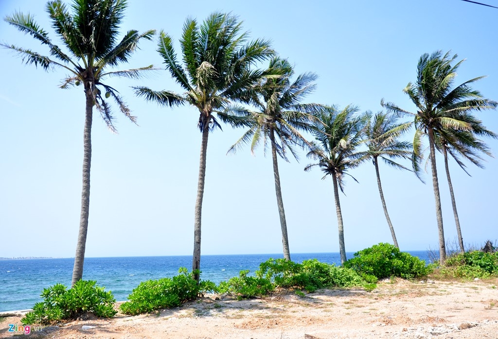 Ly Son island, must-discover untouched beauty ly son island must discover untouched beauty
