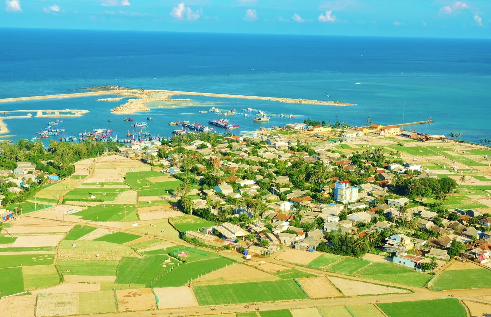 Ly Son island, must-discover untouched beauty ly son island must discover untouched beauty