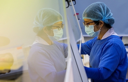 Two Vietnamese volunteer to donate lung for critical COVID-19 British pilot