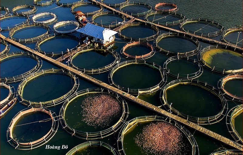 Mesmerizing tourist sites in Yen Bai, Vietnam mesmerizing tourist sites in yen bai vietnam
