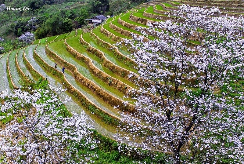 Mesmerizing tourist sites in Yen Bai, Vietnam mesmerizing tourist sites in yen bai vietnam