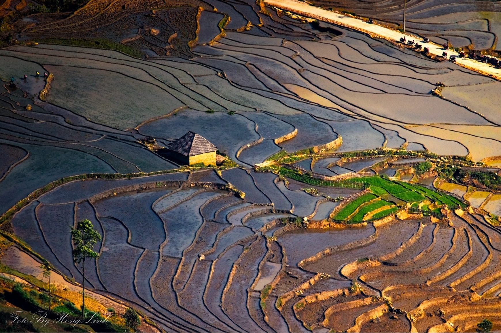 the year round magic of y ty village