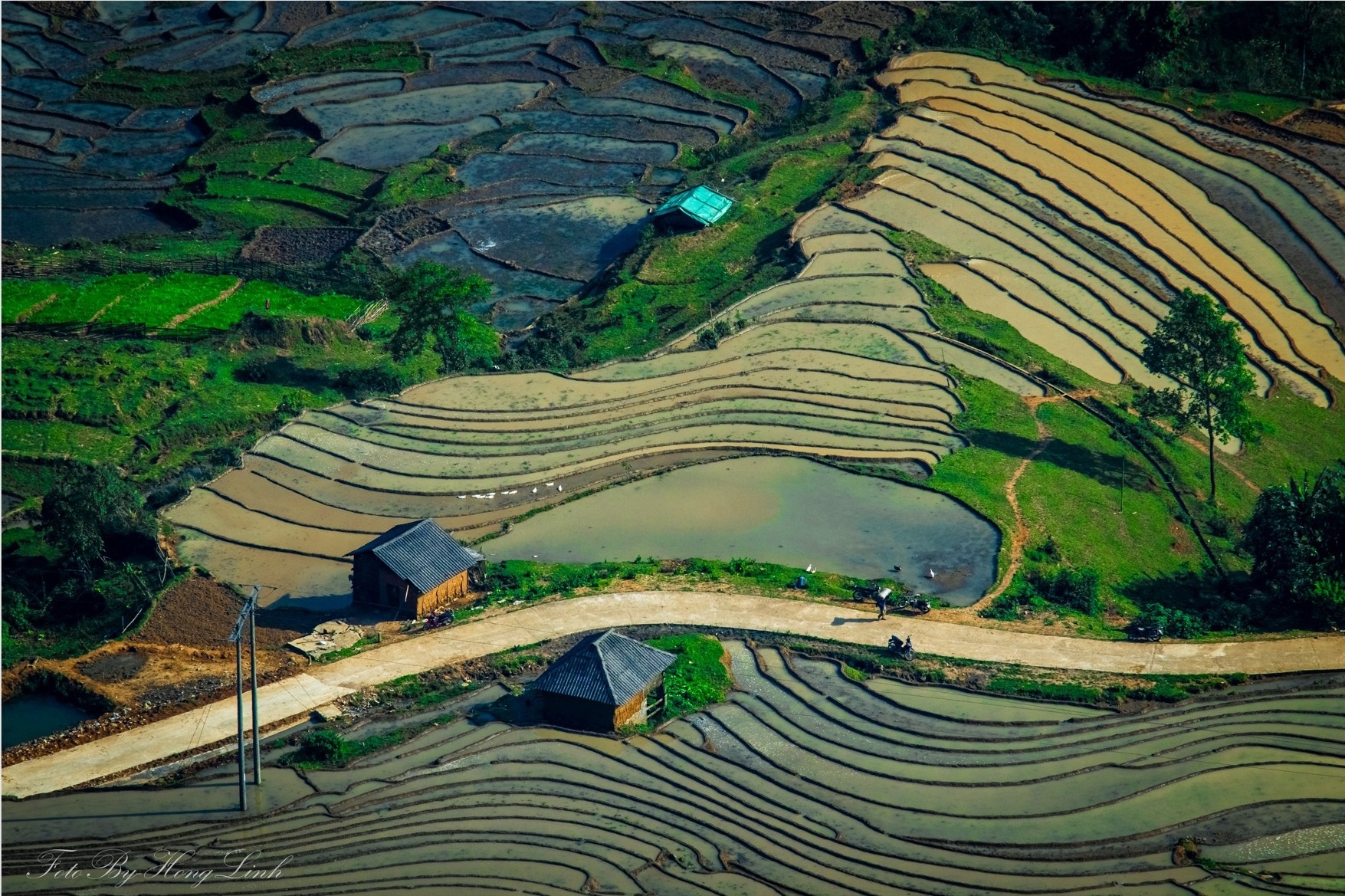 the year round magic of y ty village