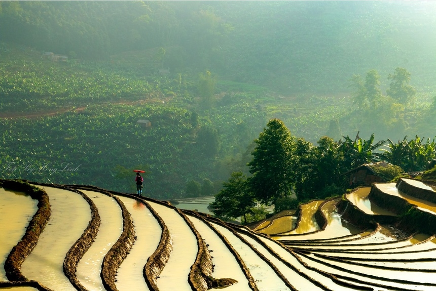 the year round magic of y ty village