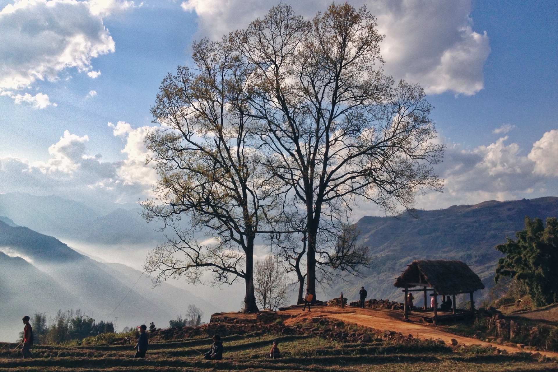the year round magic of y ty village