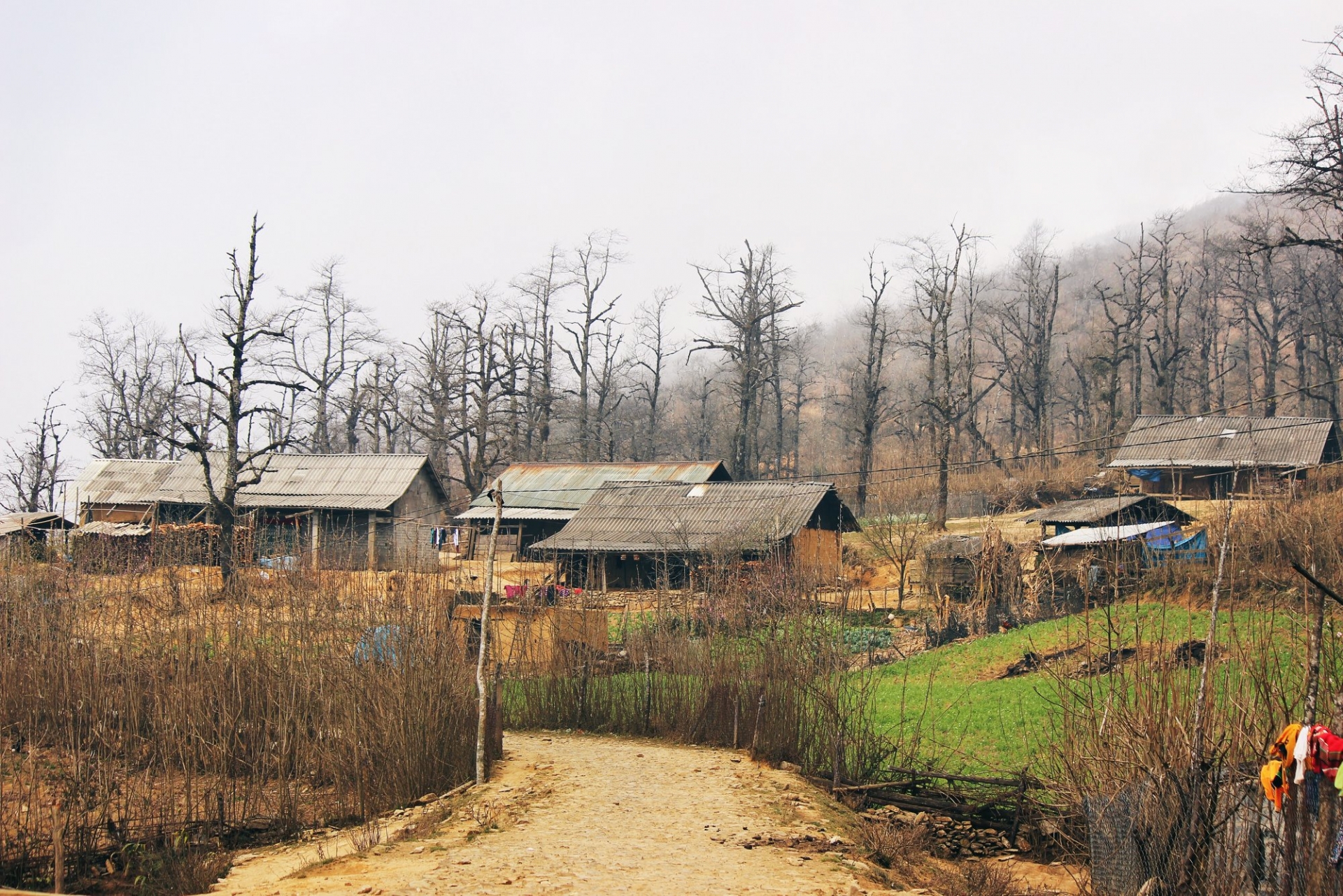 the year round magic of y ty village