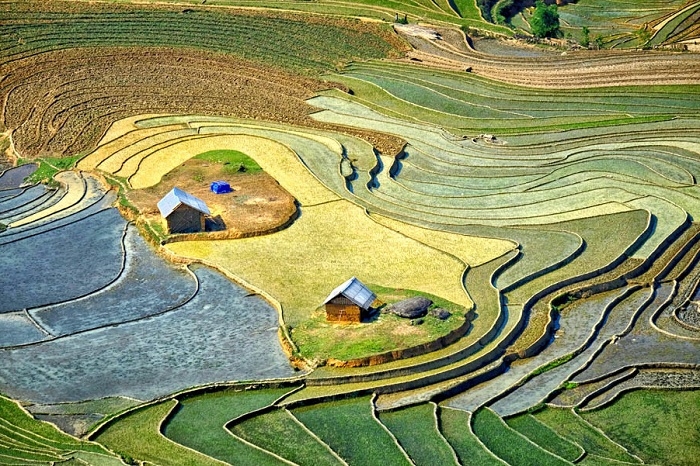 the year round magic of y ty village