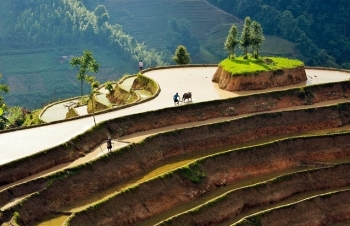 da lat in sea of clouds a must visit hidden gem