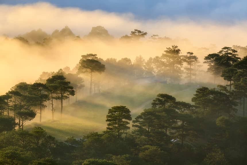Da Lat in sea of clouds, a must-visit hidden gem da lat in sea of clouds a must visit hidden gem