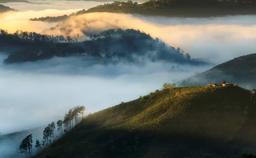 da lat in sea of clouds a must visit hidden gem