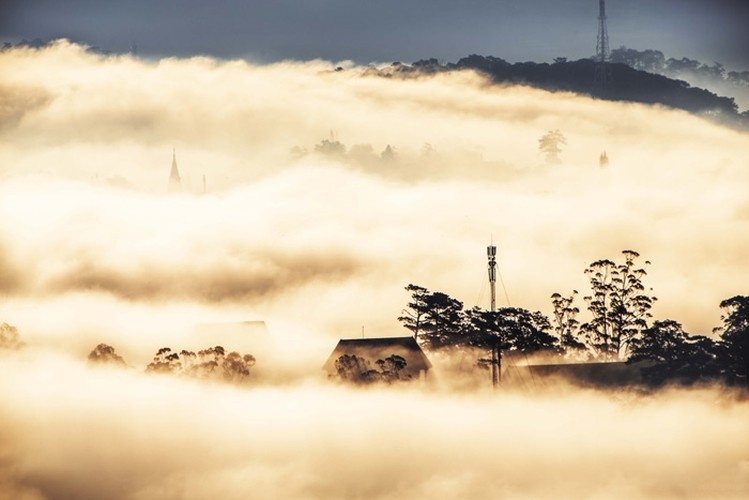 Da Lat in sea of clouds, a must-visit hidden gem da lat in sea of clouds a must visit hidden gem