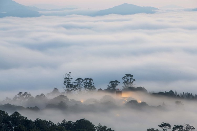 Da Lat in sea of clouds, a must-visit hidden gem da lat in sea of clouds a must visit hidden gem