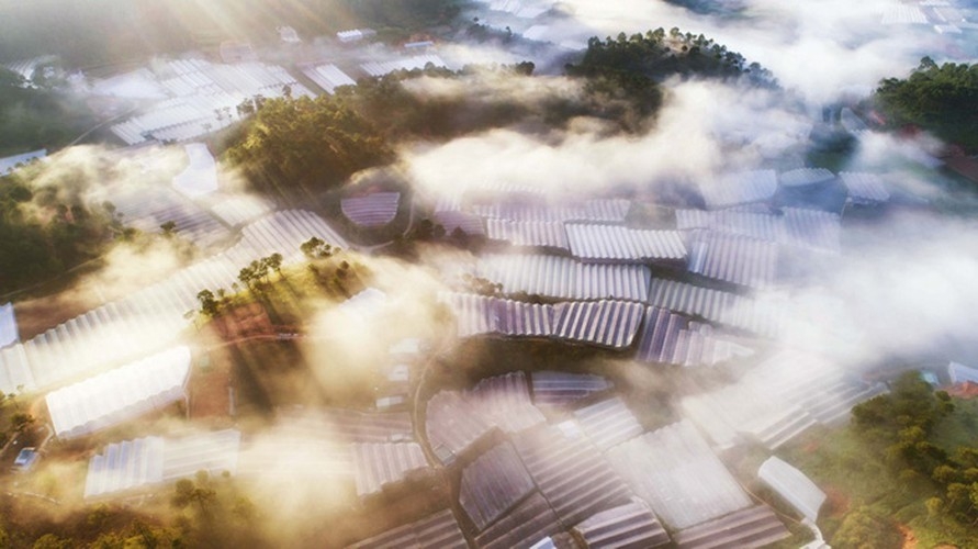 Da Lat in sea of clouds, a must-visit hidden gem da lat in sea of clouds a must visit hidden gem