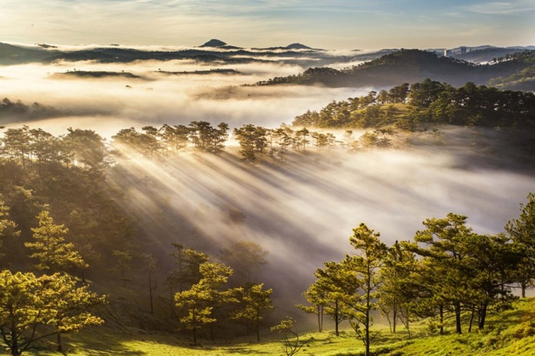 Da Lat in sea of clouds, a must-visit hidden gem da lat in sea of clouds a must visit hidden gem