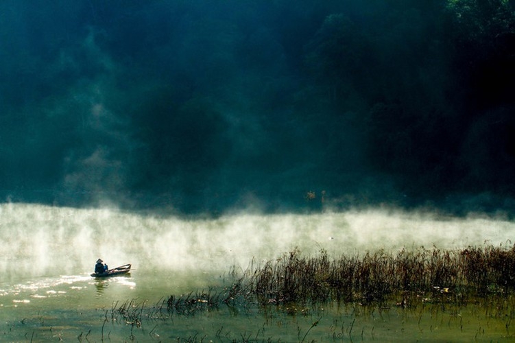 Da Lat in sea of clouds, a must-visit hidden gem da lat in sea of clouds a must visit hidden gem