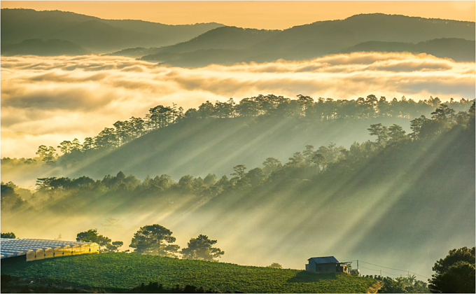 Da Lat in sea of clouds, a must-visit hidden gem da lat in sea of clouds a must visit hidden gem