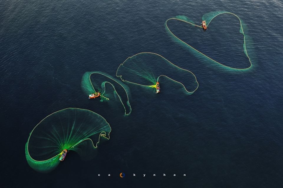 Gorgeous anchovy-catching scenes in Hon Yen islet gorgeous anchovy catching scenes in hon yen islet
