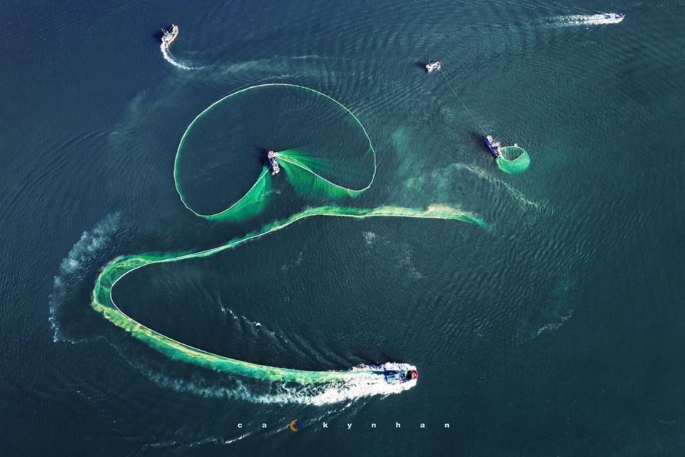 Gorgeous anchovy-catching scenes in Hon Yen islet gorgeous anchovy catching scenes in hon yen islet