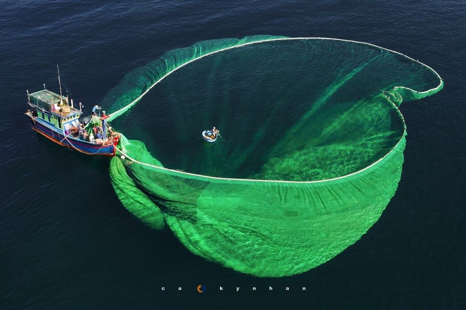Gorgeous anchovy-catching scenes in Hon Yen islet gorgeous anchovy catching scenes in hon yen islet