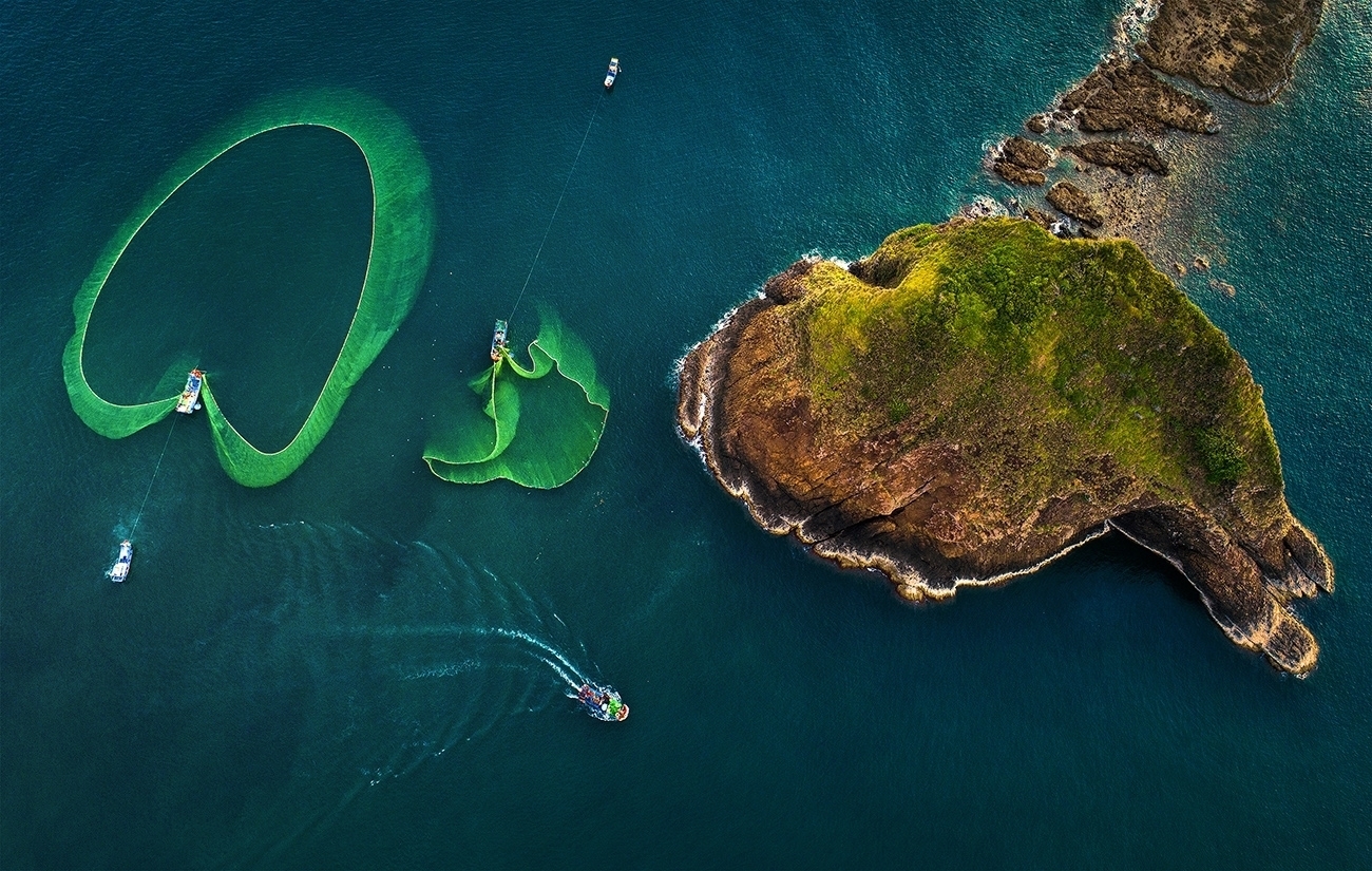 Gorgeous anchovy-catching scenes in Hon Yen islet gorgeous anchovy catching scenes in hon yen islet