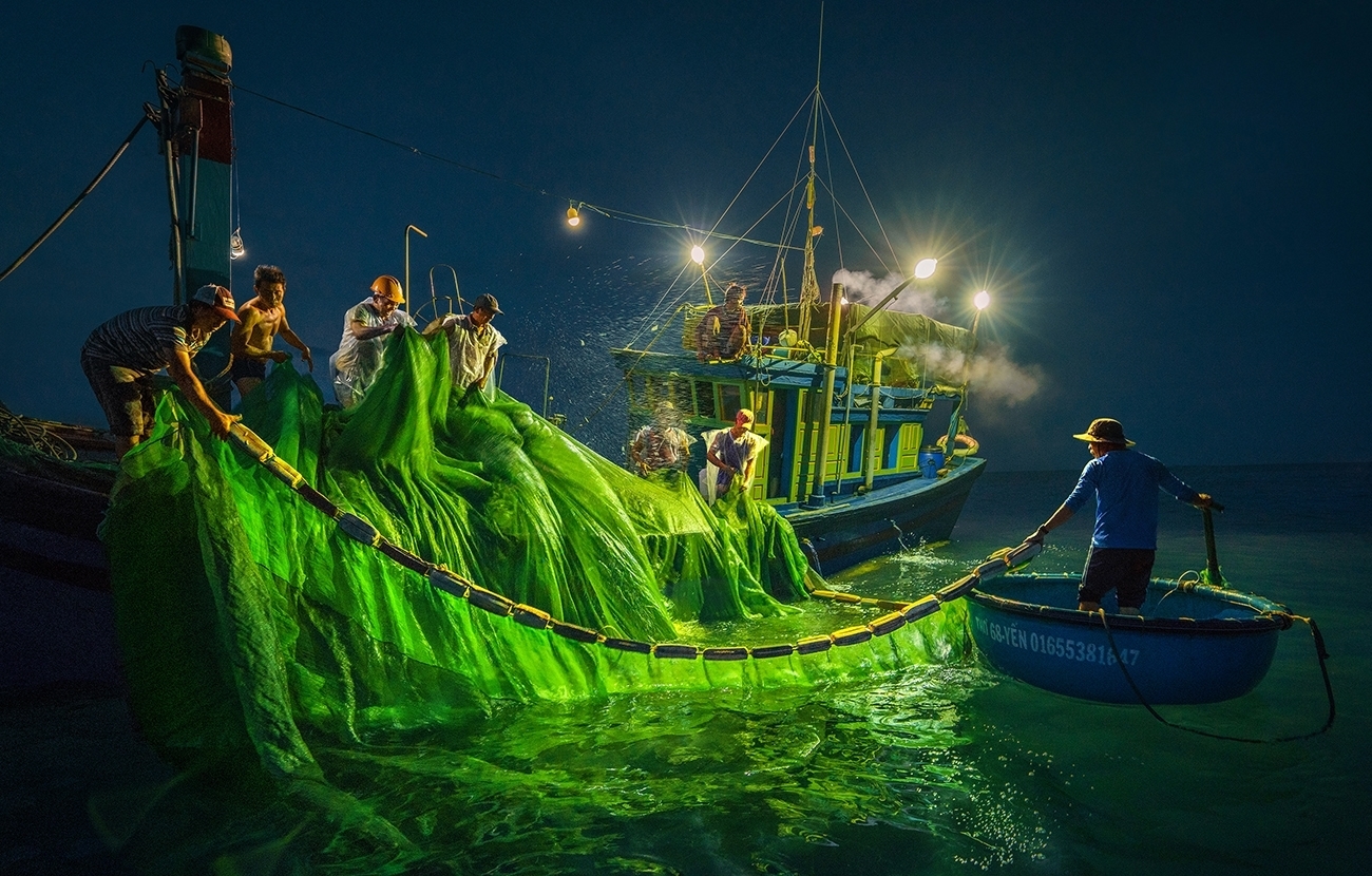 Gorgeous anchovy-catching scenes in Hon Yen islet gorgeous anchovy catching scenes in hon yen islet