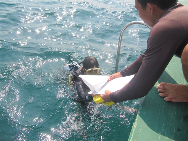 ecosystem off cham islands recovers after covid 19