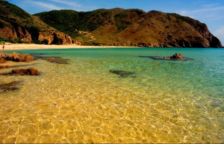 Google survey: ‘beach’- Vietnam's most searched keywords for post social distancing